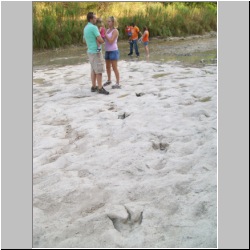 100_0342 (2009-25-07).JPG